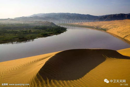 中衛沙坡頭桂王園的傳說與景區管理探秘